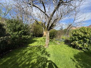 Across from left to right at bottom- click for photo gallery